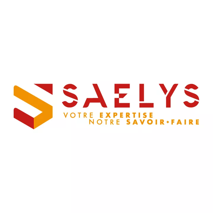 Logo Naming et création de logo pour Saelys