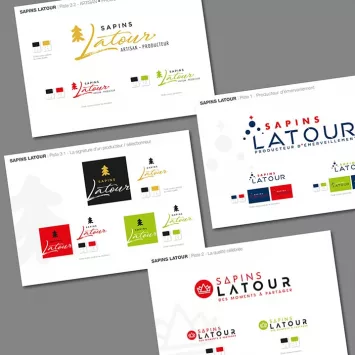 Site internet Sapins Latour