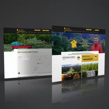 Site internet Sapins Latour