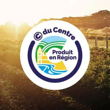 Logo CDUCENTRE