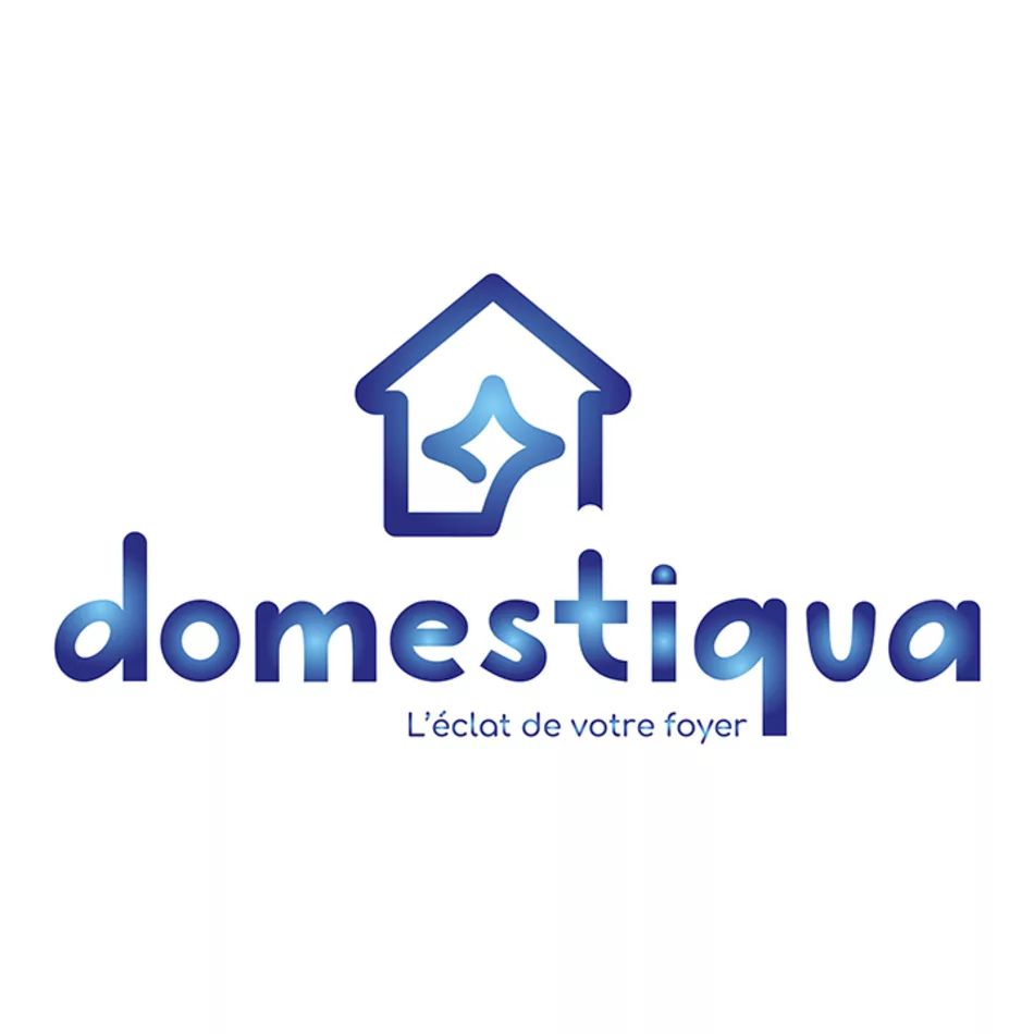 Logo Cartes de visite – Domestiqua